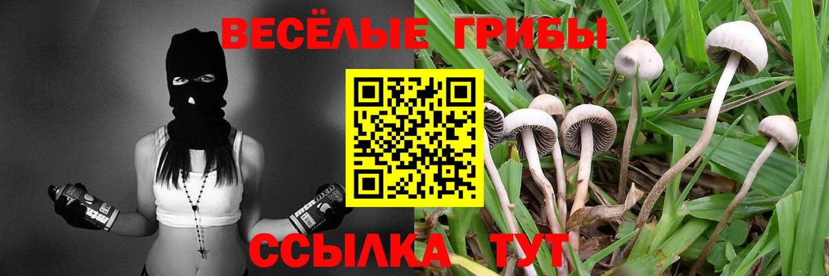 Псилоцибиновые грибы мухоморы  Вход с VPN  сколько стоит  Вольск 