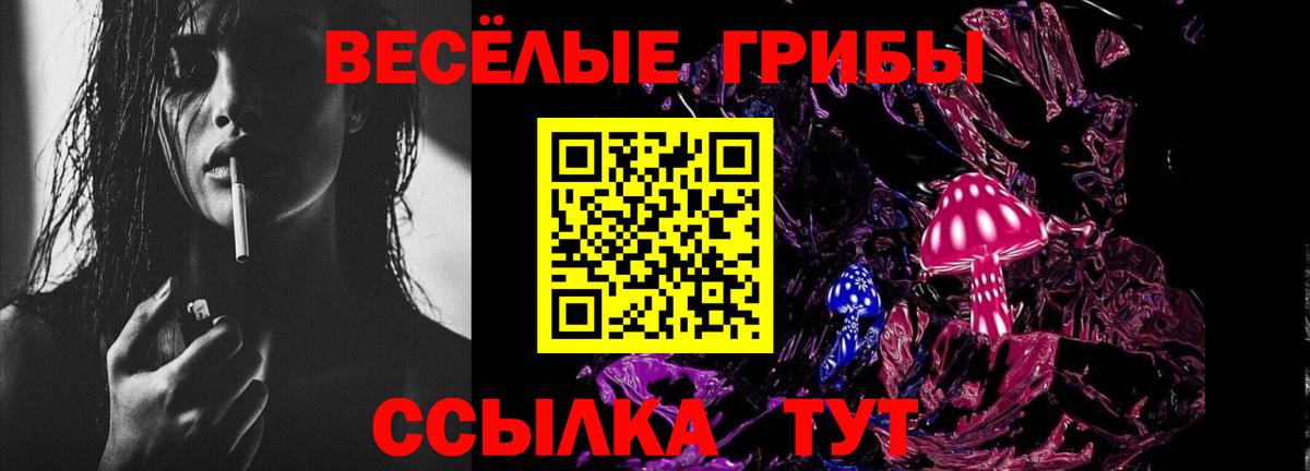 Псилоцибиновые грибы ЛСД Вольск